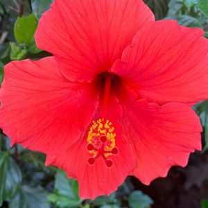 Meet your Posher, Grant